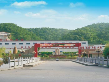 梅州市威利邦电子科技有限开云·体育（中国）官方网站
